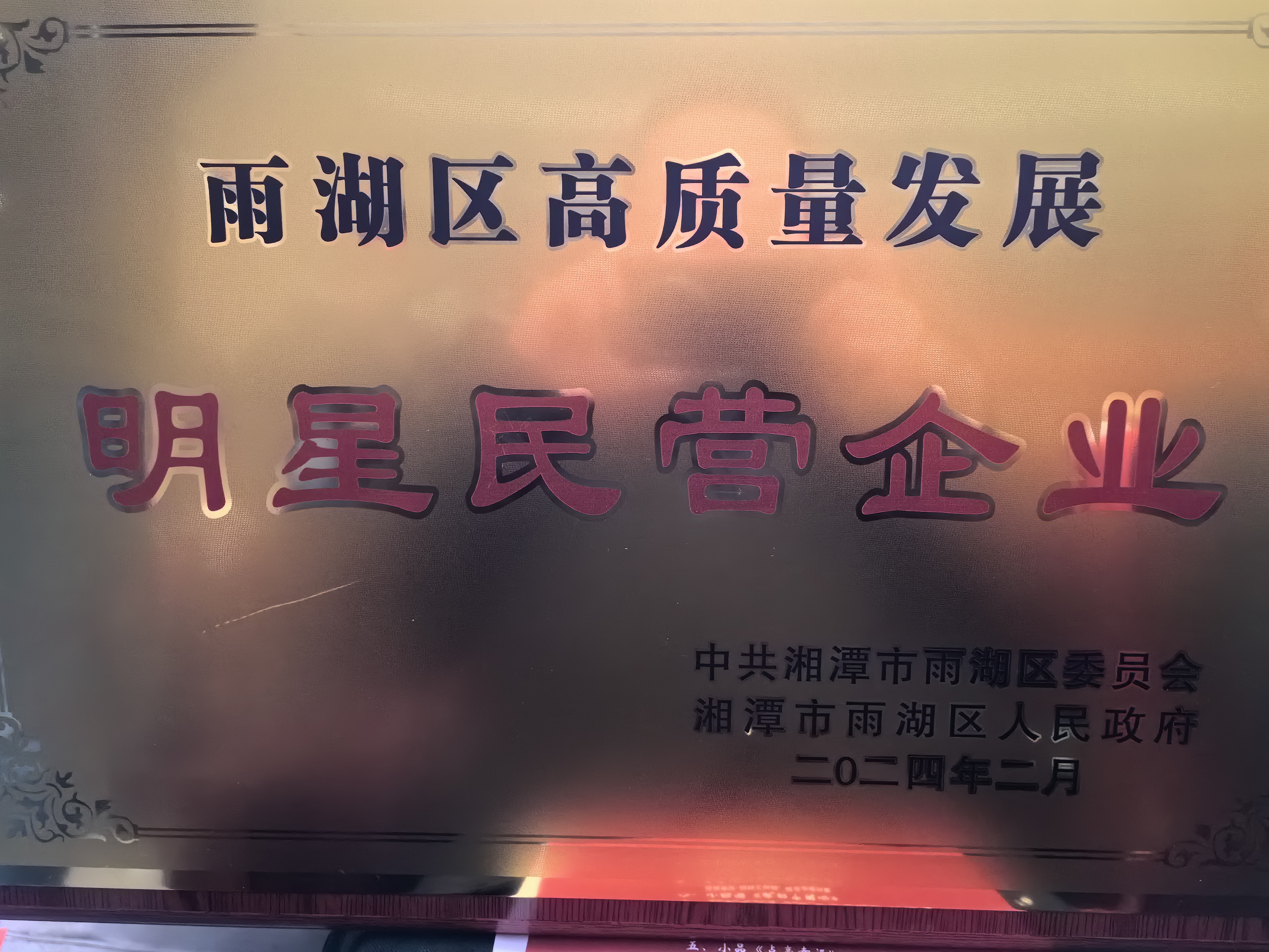 k1体育 - 十年品牌 值得信赖荣获“雨湖区高质量发展明星民营企业”称号